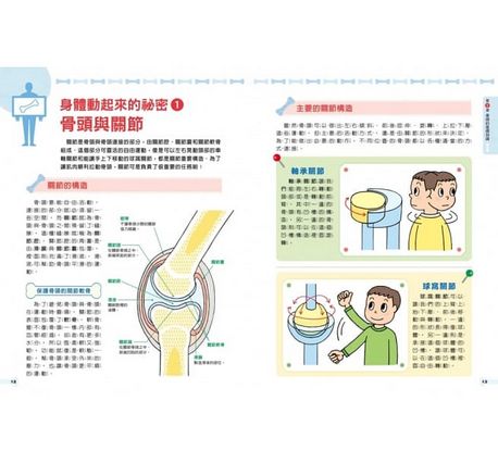 骨頭的祕密：徹底了解人體的構造！